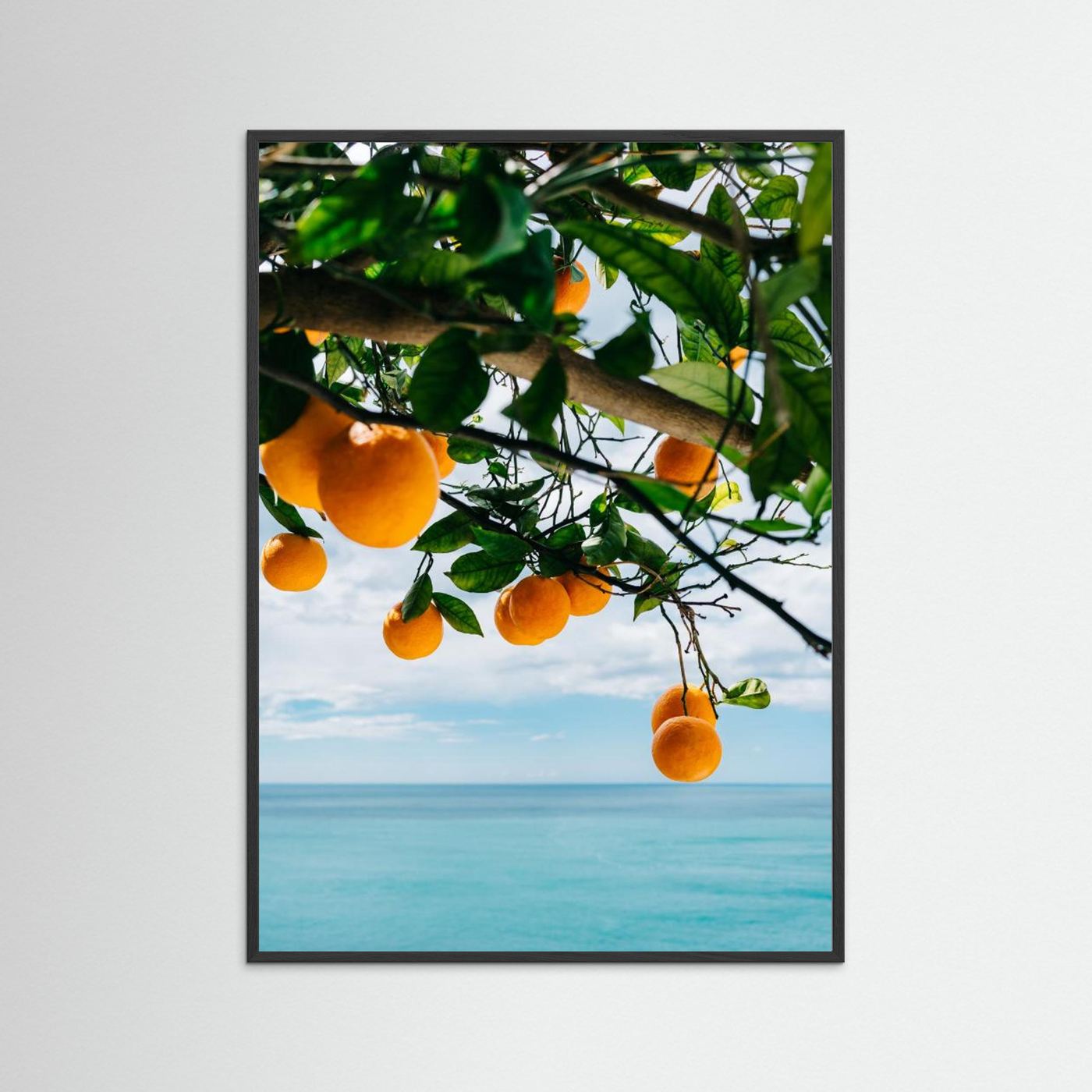 Amalfi Coast Oranges IV
