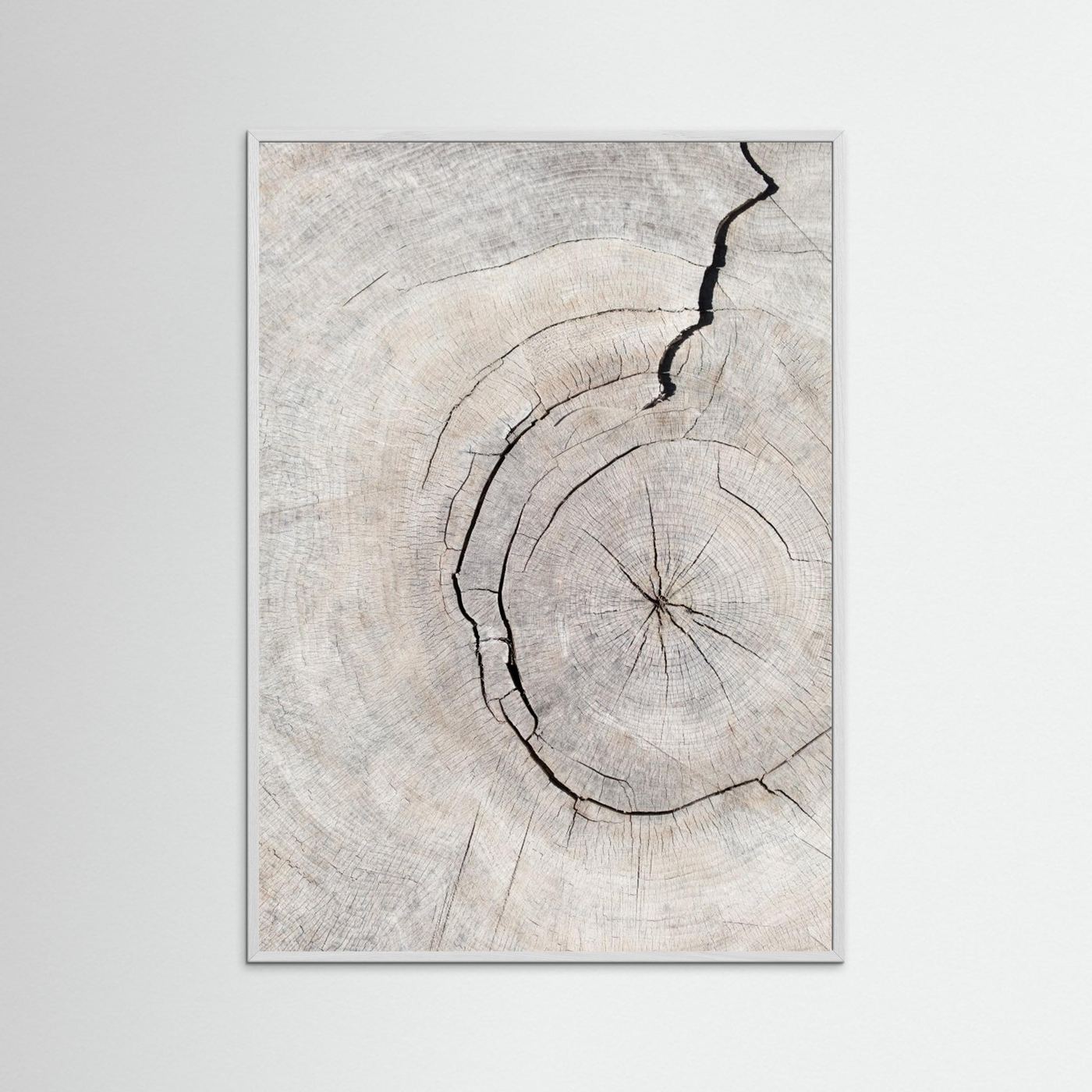 Rings by Pictufy Studio Iii