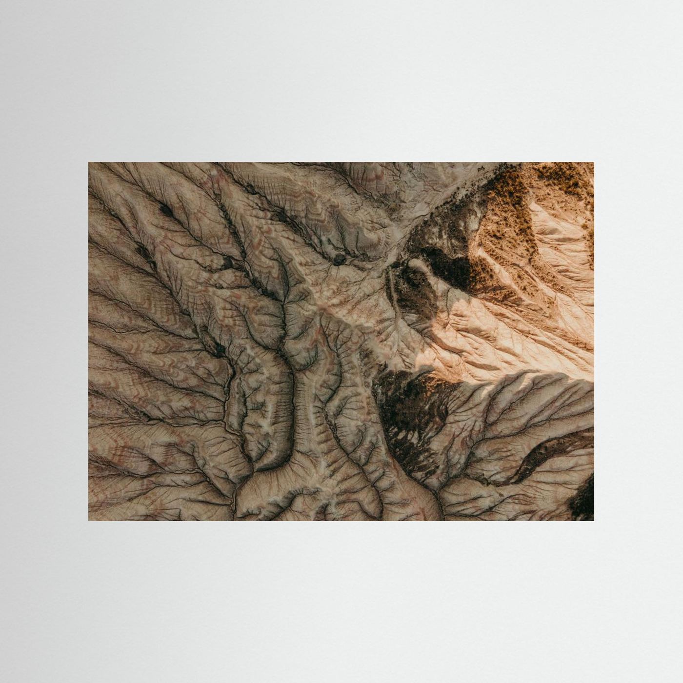 Desert Patterns 03 by Javier Pardina