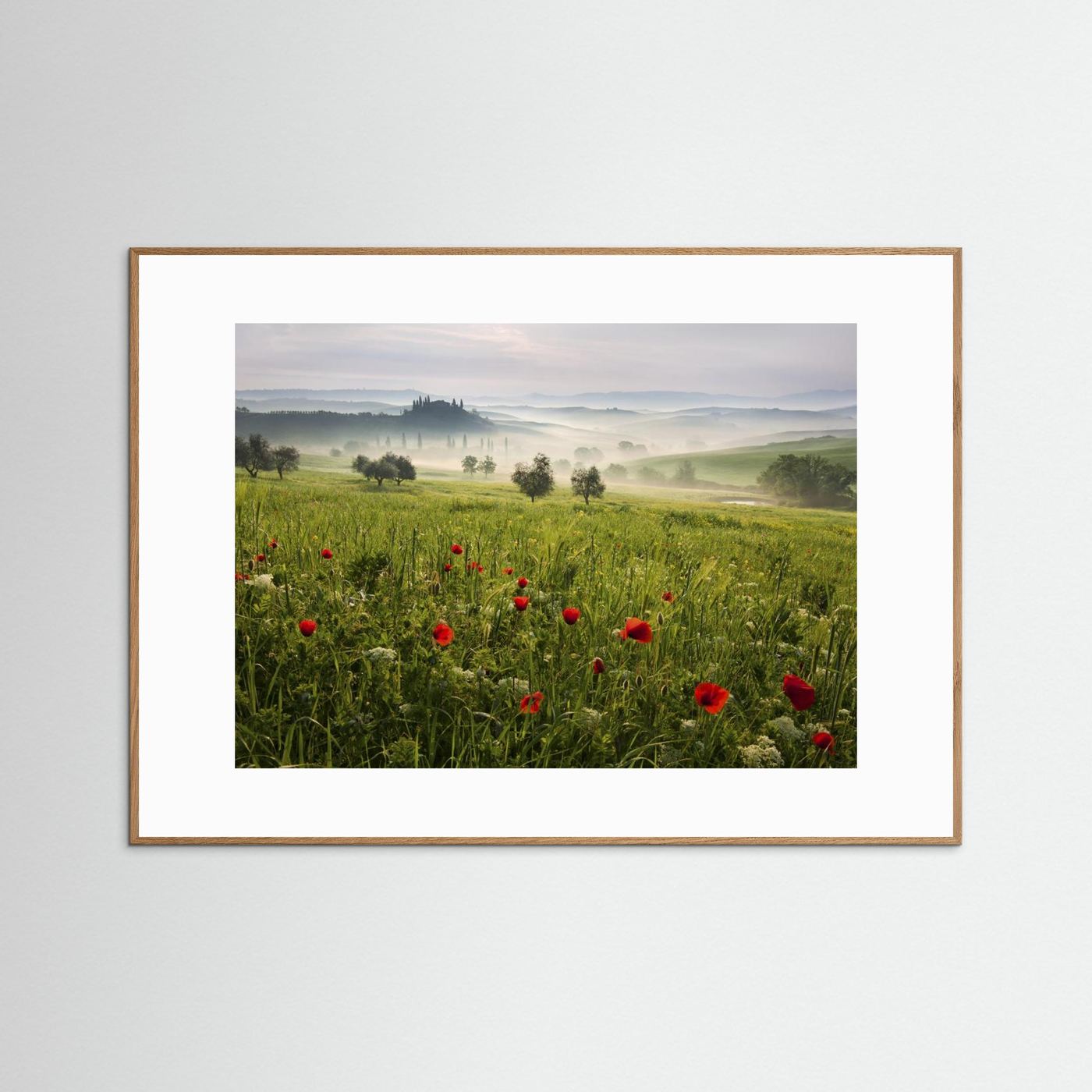 Tuscan spring by Daniel řeřicha