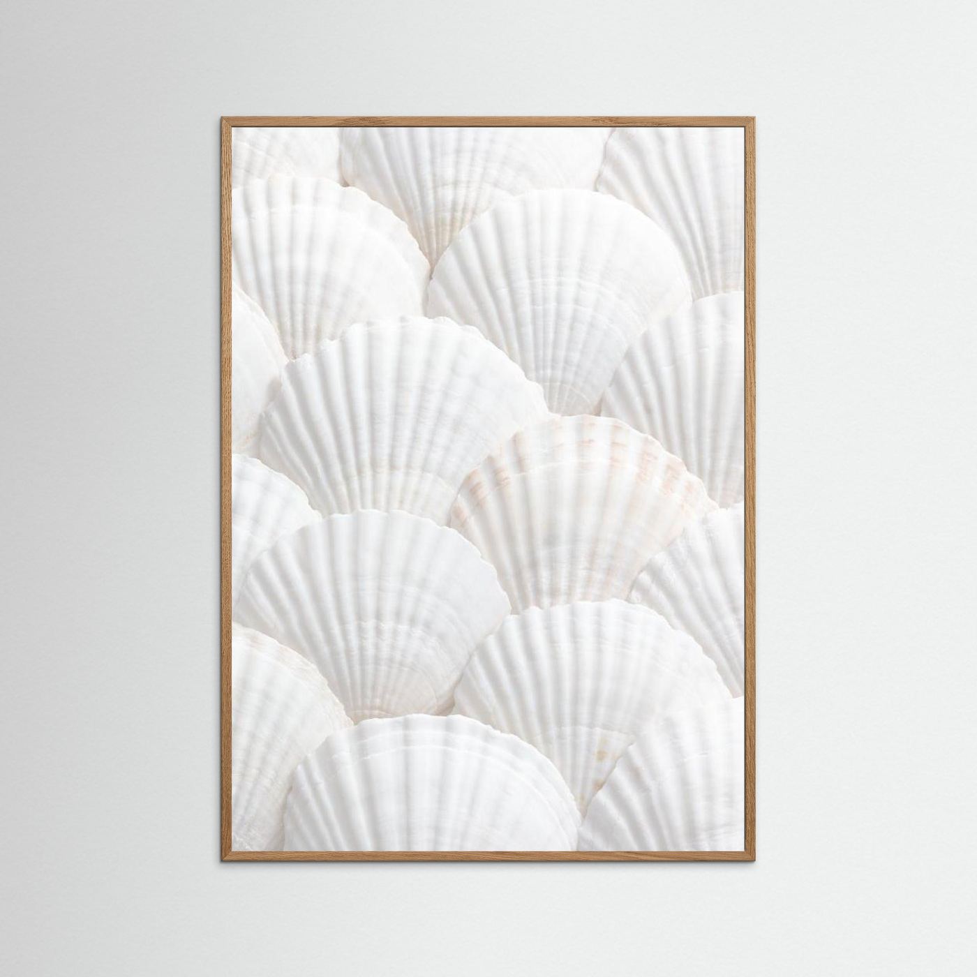 Shells