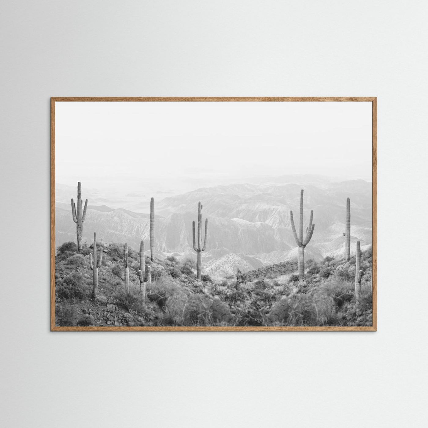 Western Cactus
