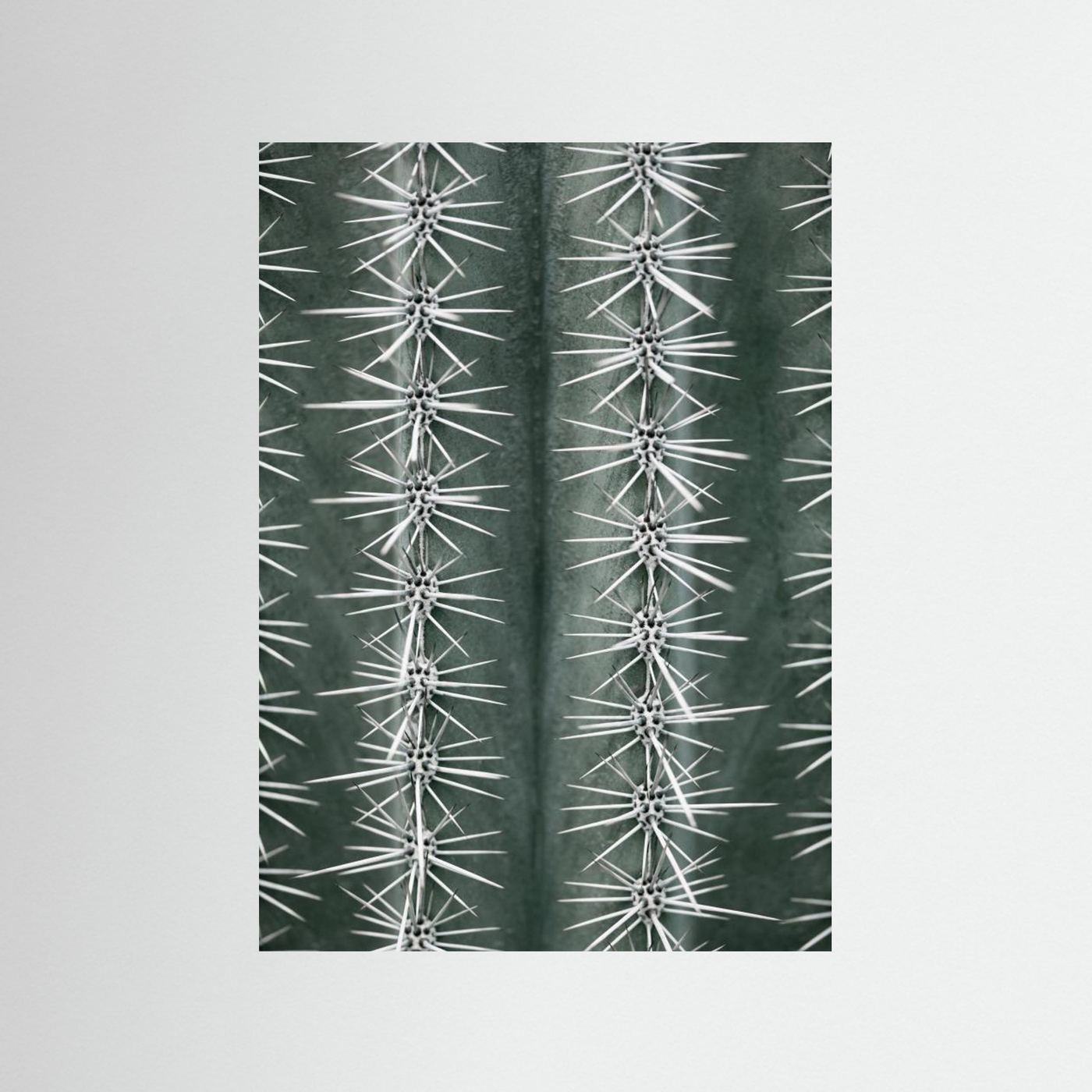 Sharp Cactus Pattern by Pictufy Studio Iii