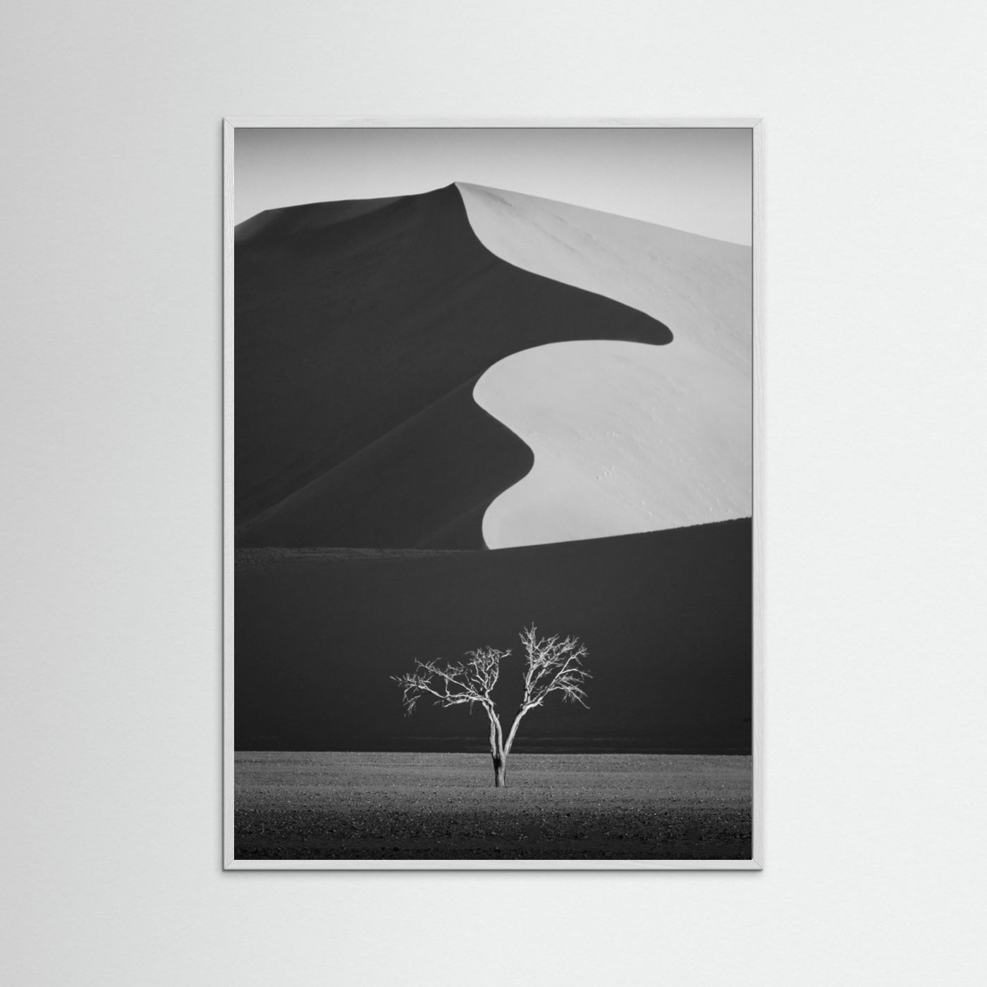 Light & shadow
