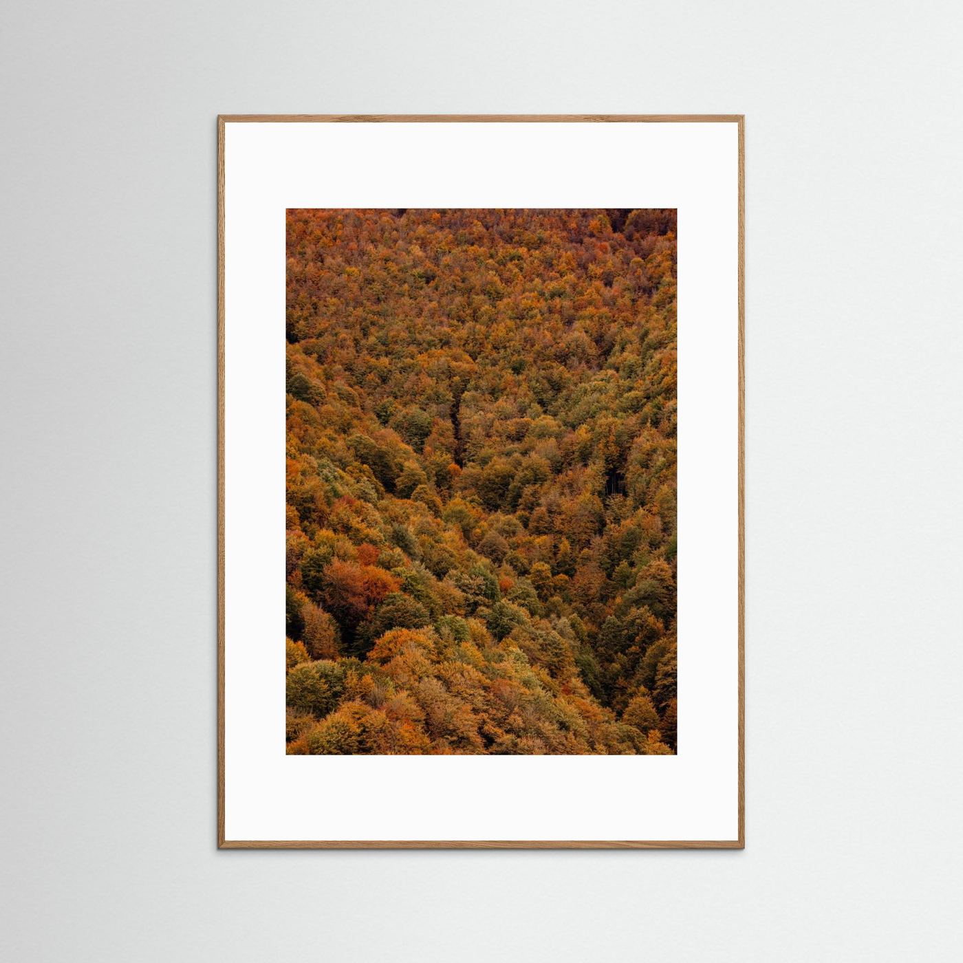 Autumn Forest 03 by Javier Pardina