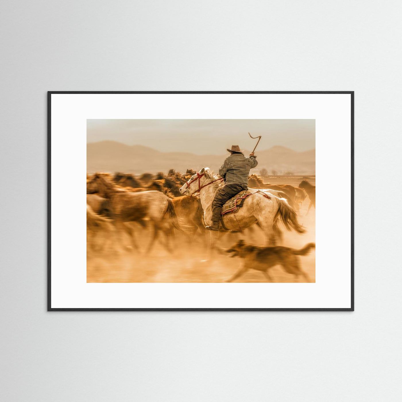 Wild horses (aka Yılkı Atları)