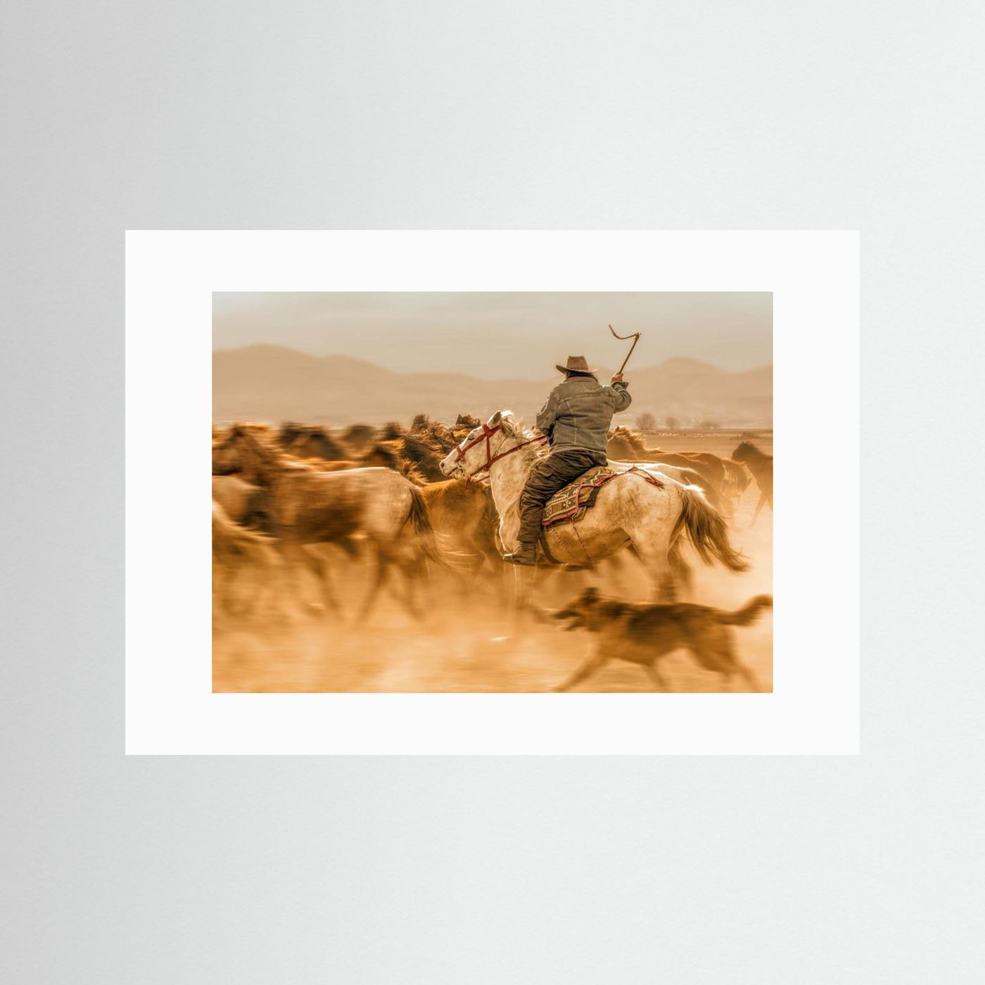 Wild horses (aka Yılkı Atları)