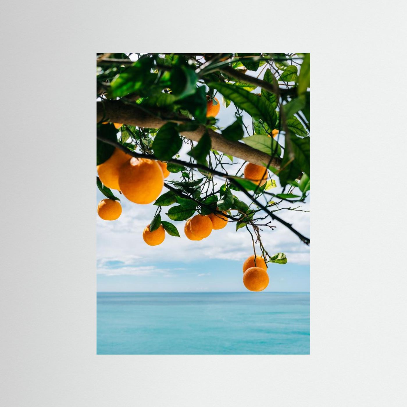 Amalfi Coast Oranges IV