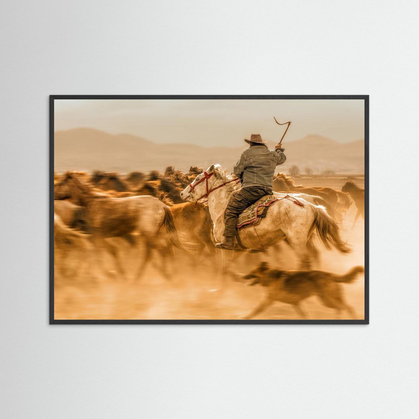 Wild horses (aka Yılkı Atları)