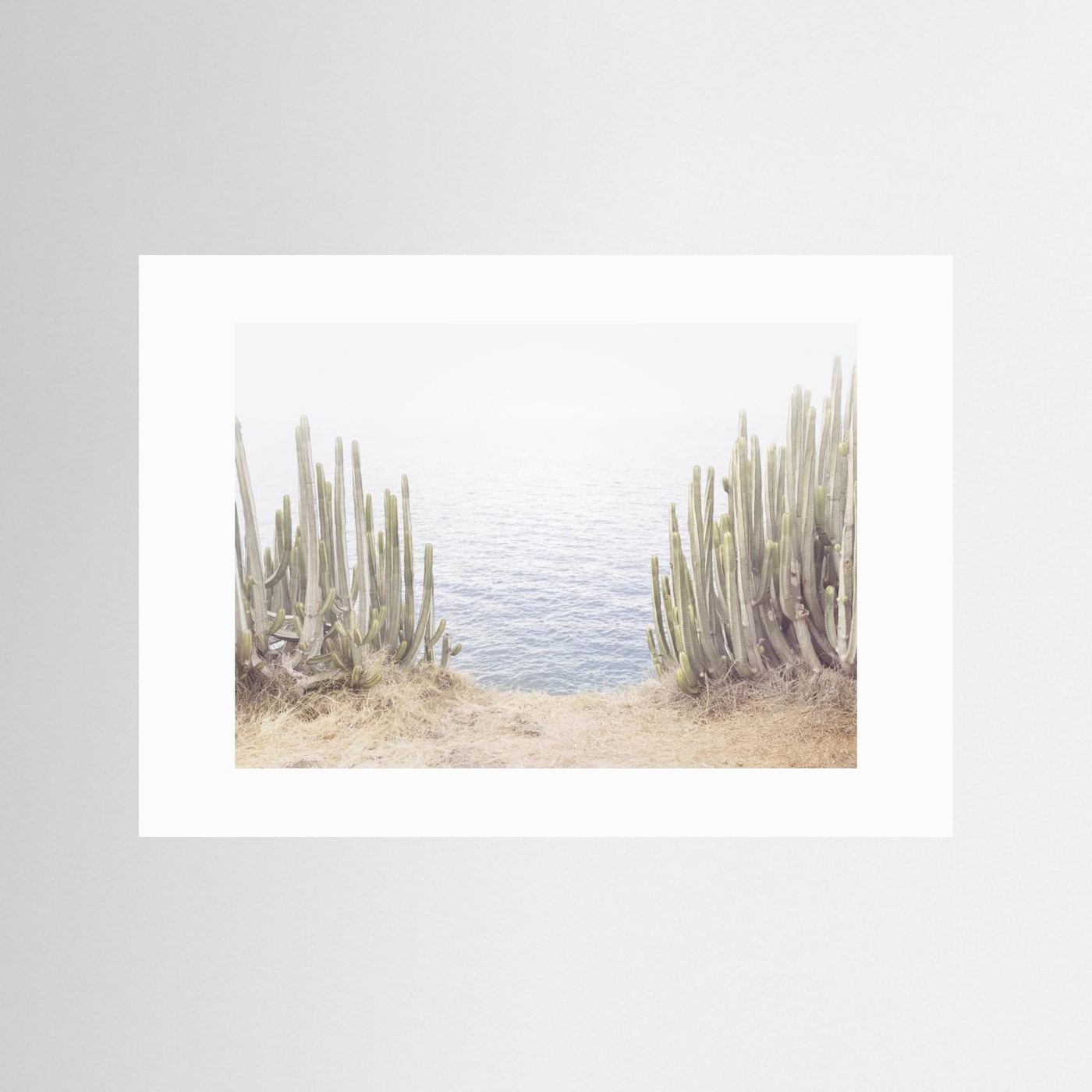 Ocean Cactus