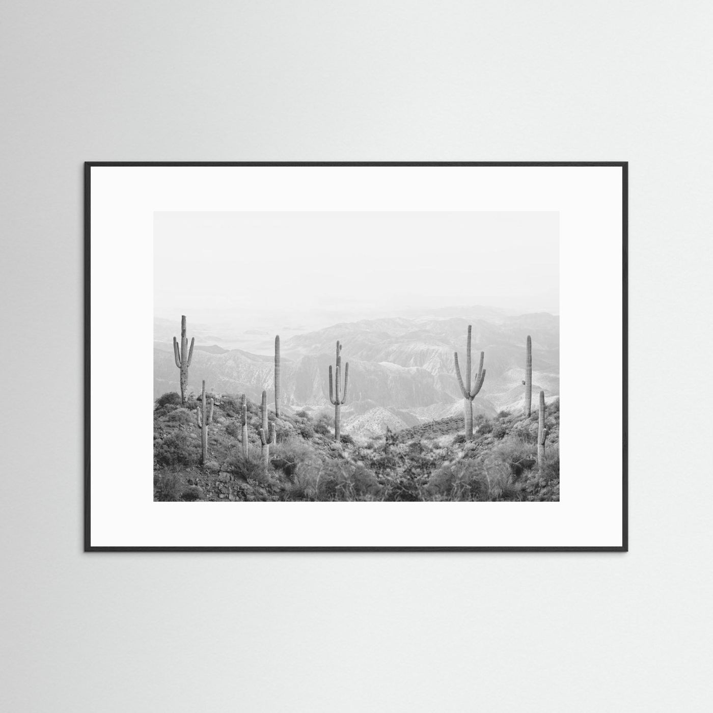 Western Cactus