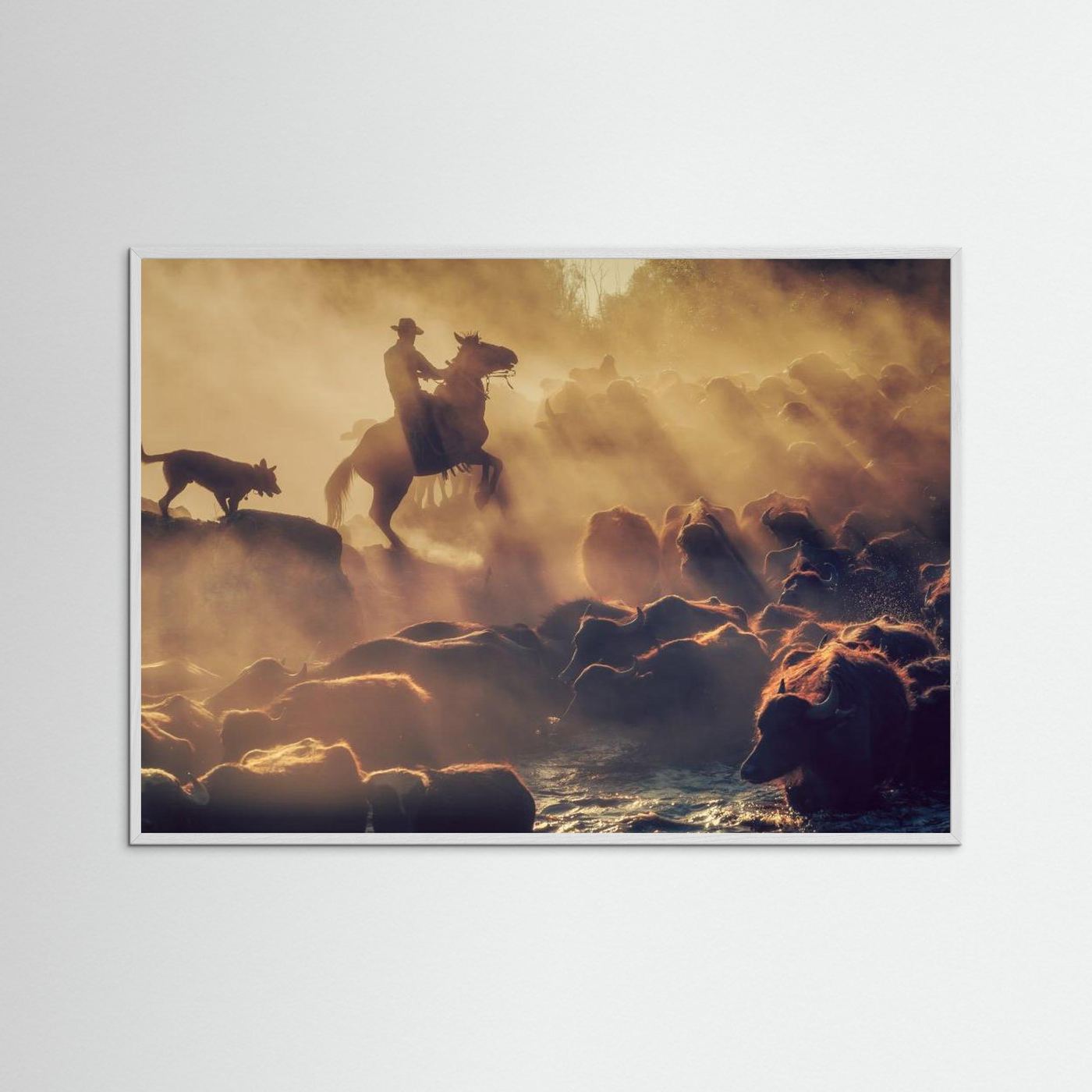 The buffalo shepherd