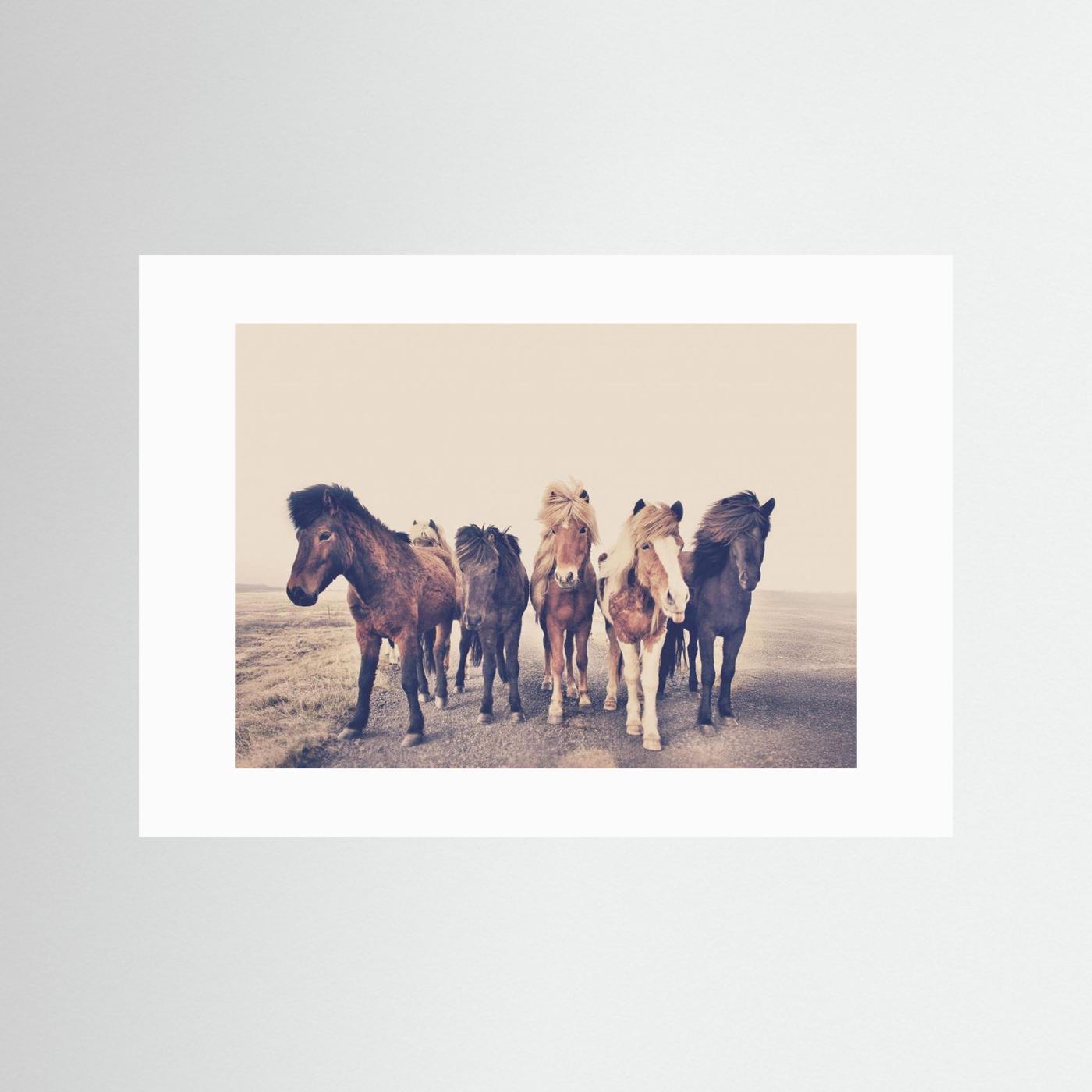 Horses 