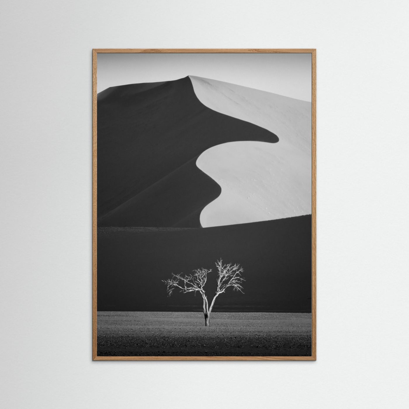 Light & shadow