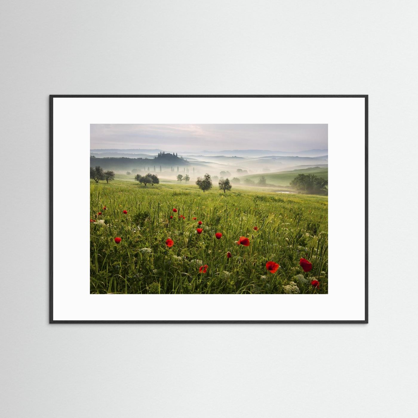 Tuscan spring by Daniel řeřicha