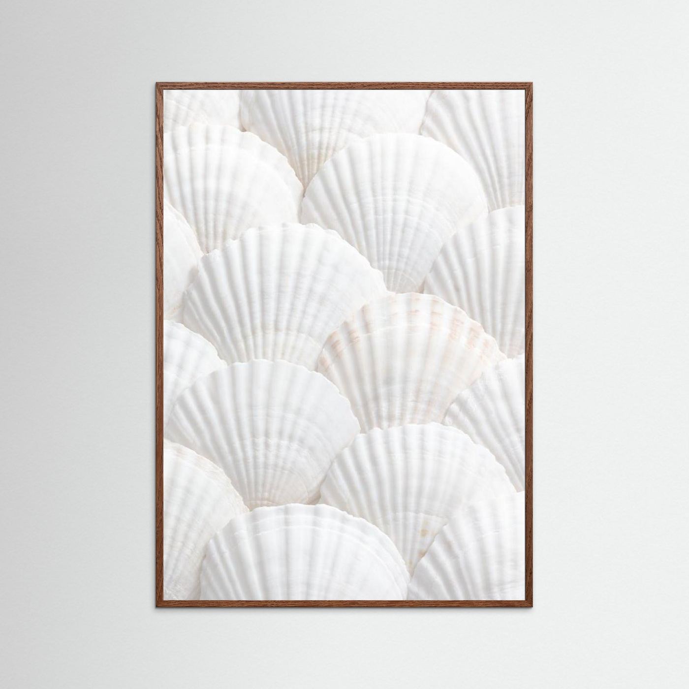 Shells