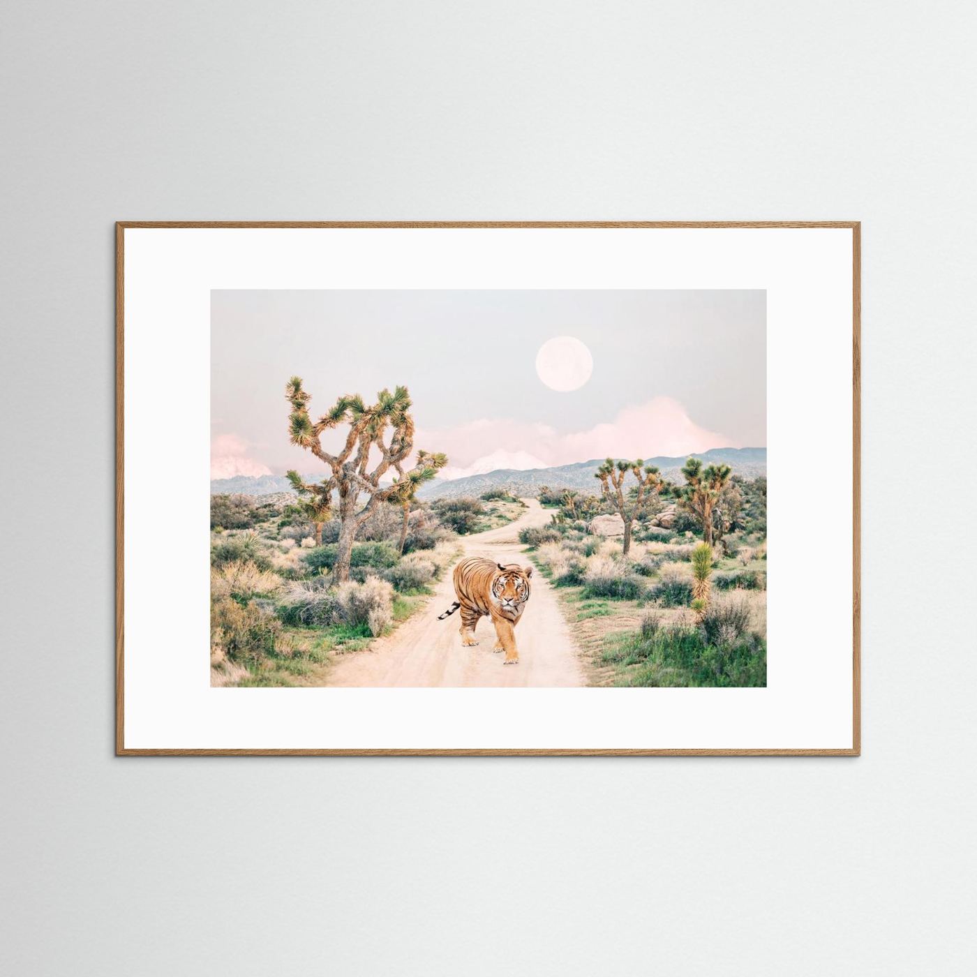Wandering Tiger