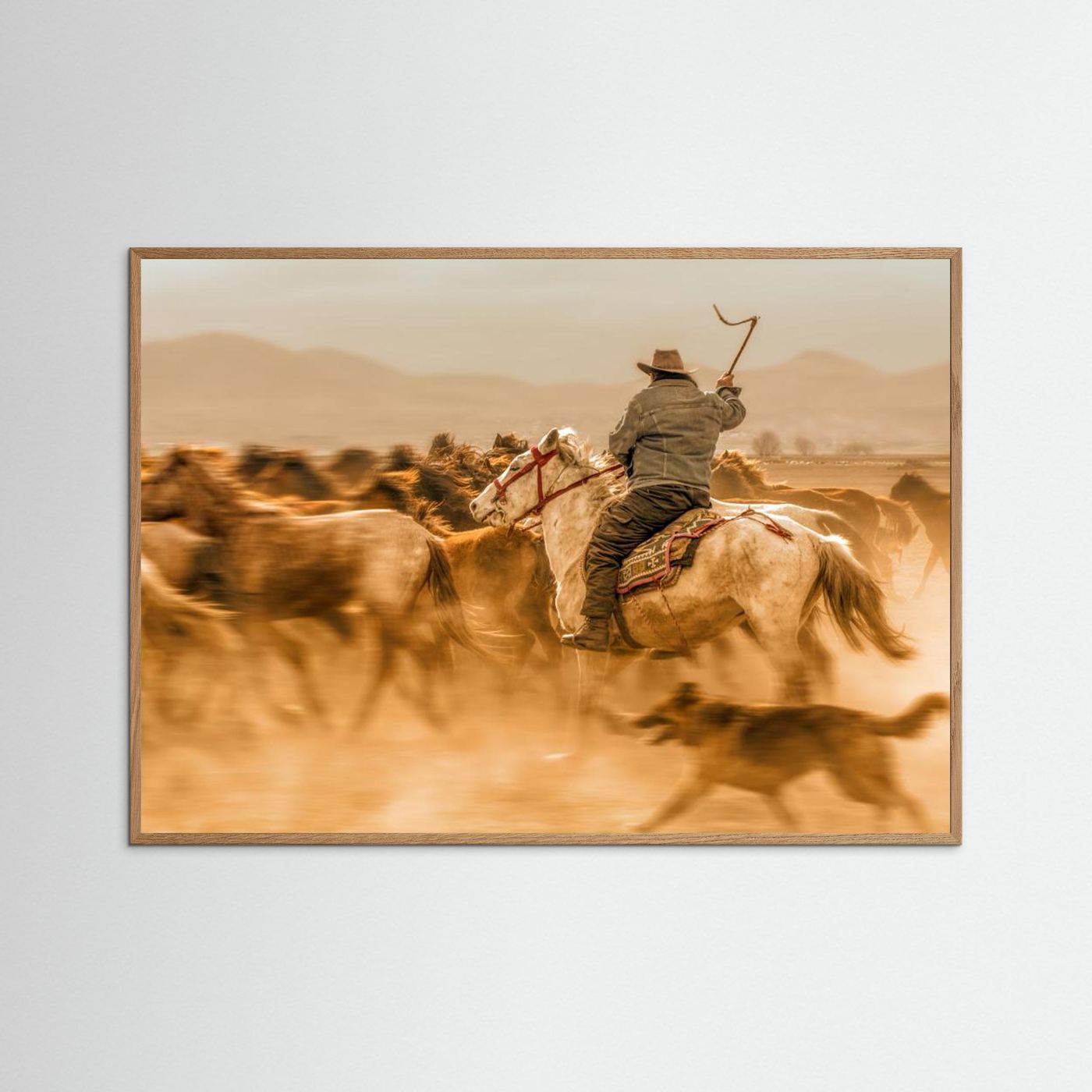 Wild horses (aka Yılkı Atları)