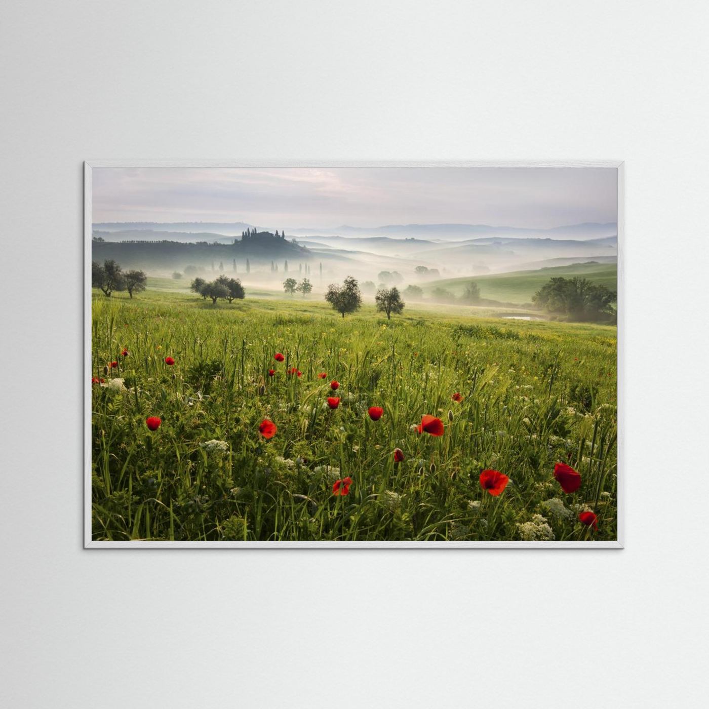 Tuscan spring by Daniel řeřicha
