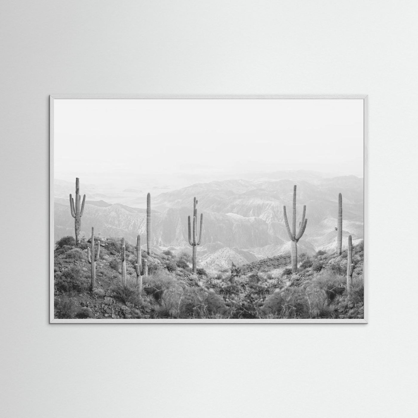 Western Cactus