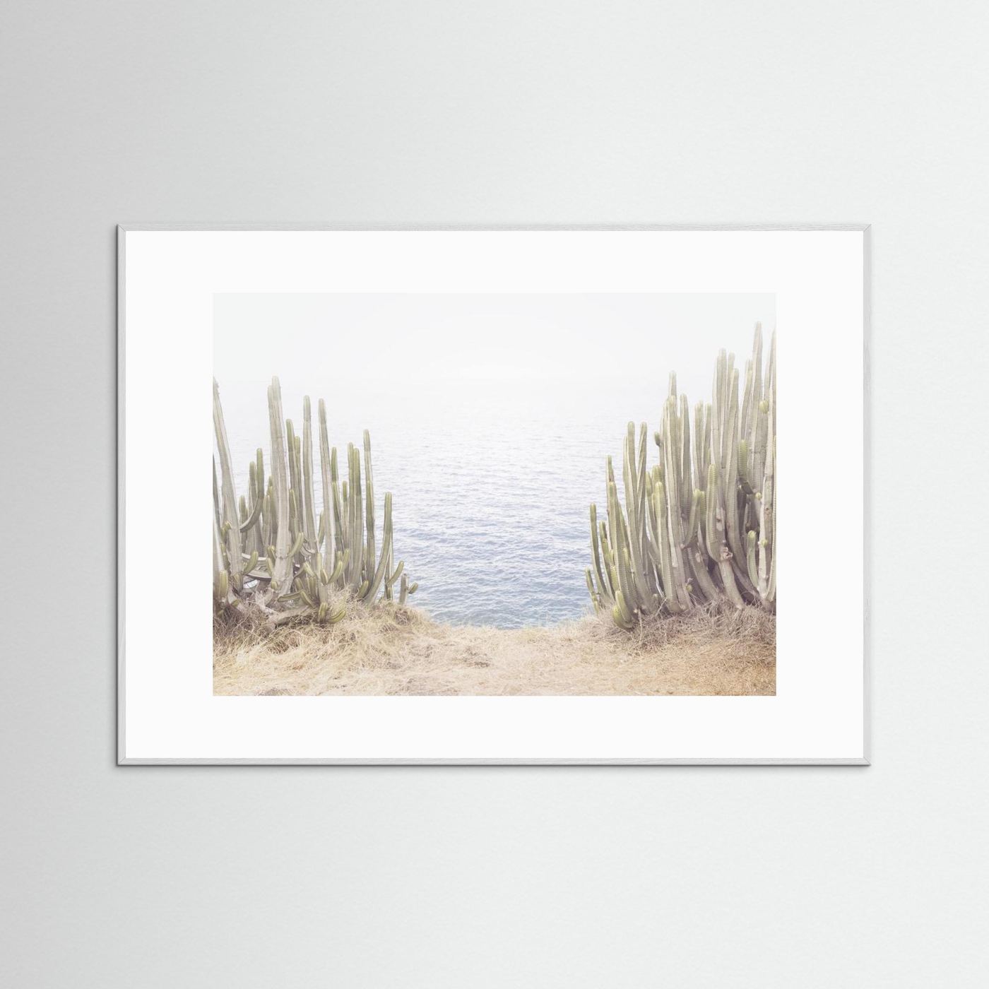 Ocean Cactus