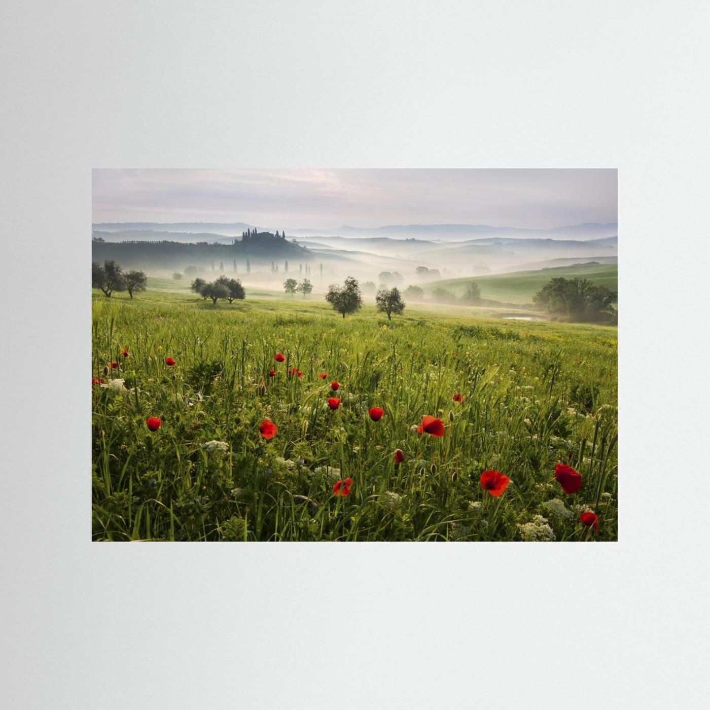 Tuscan spring by Daniel řeřicha