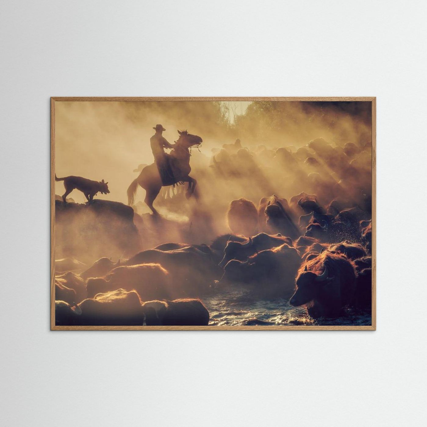 The buffalo shepherd