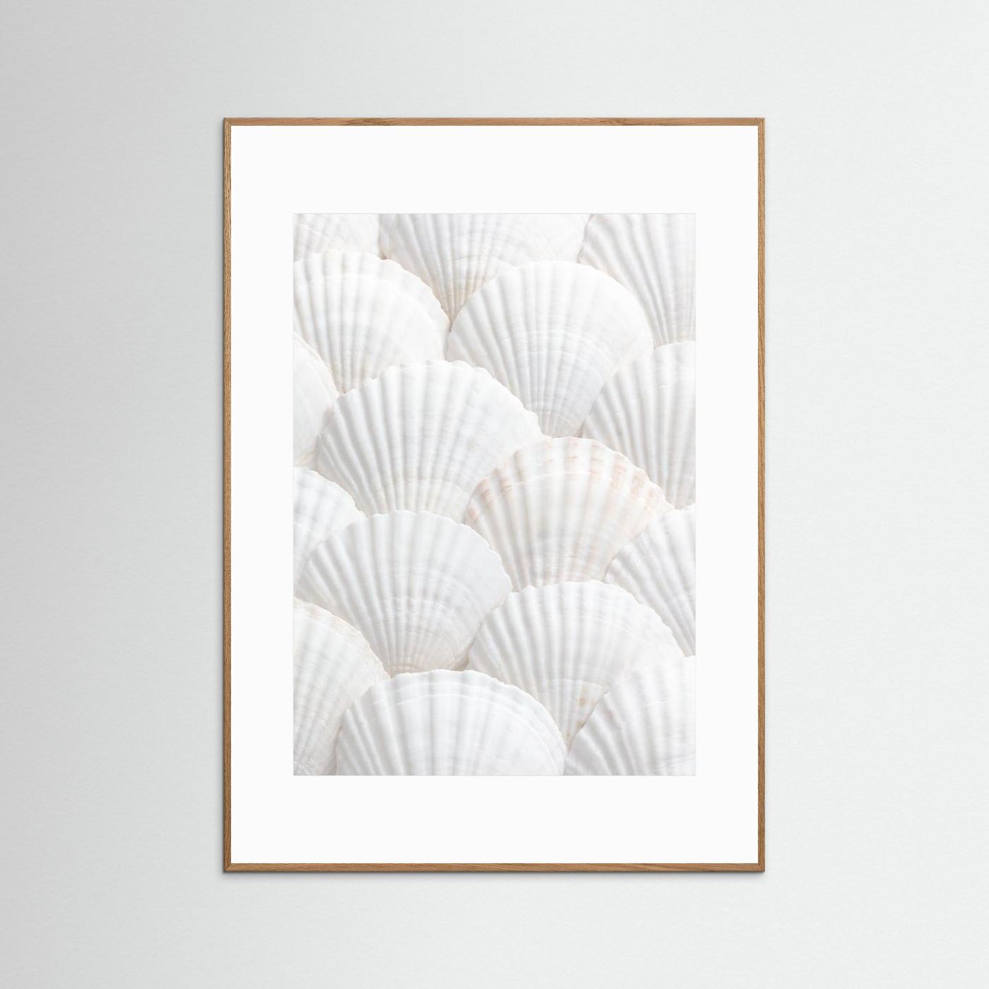 Shells