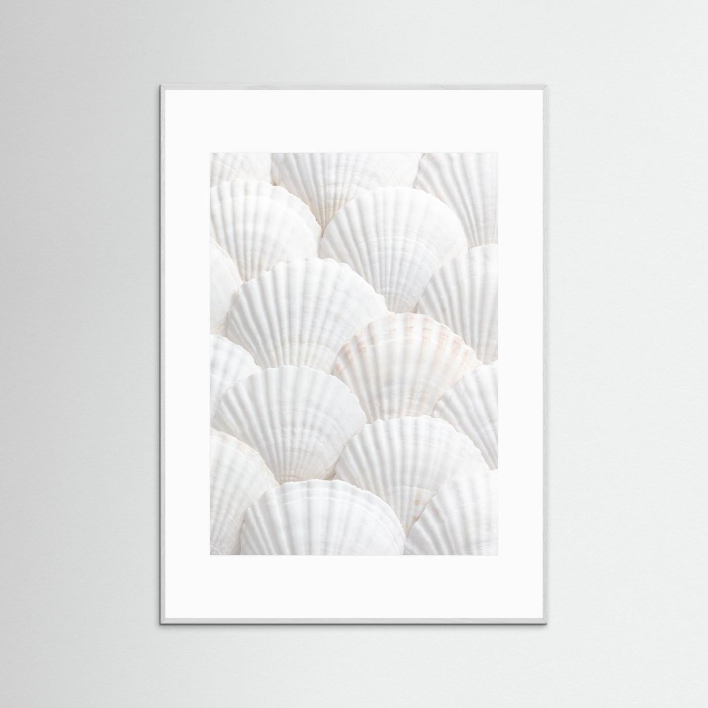 Shells