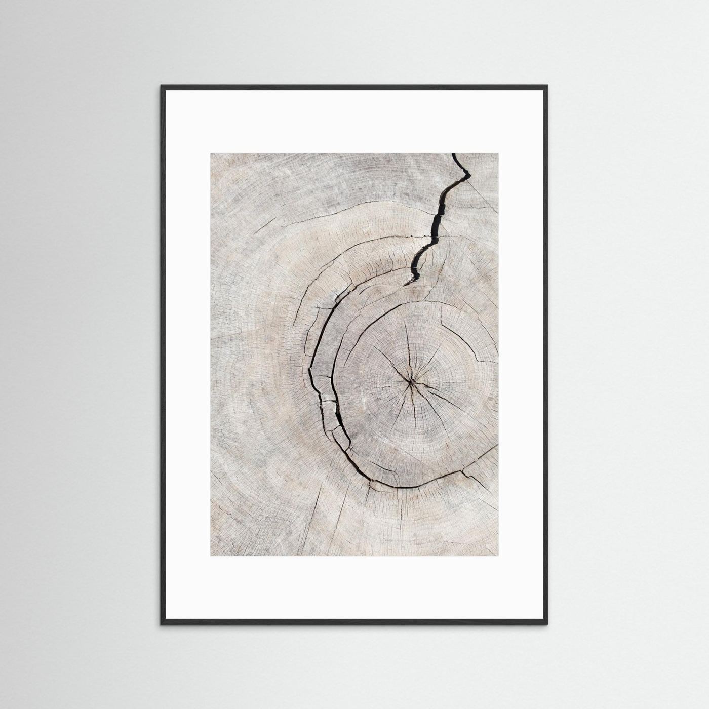 Rings by Pictufy Studio Iii