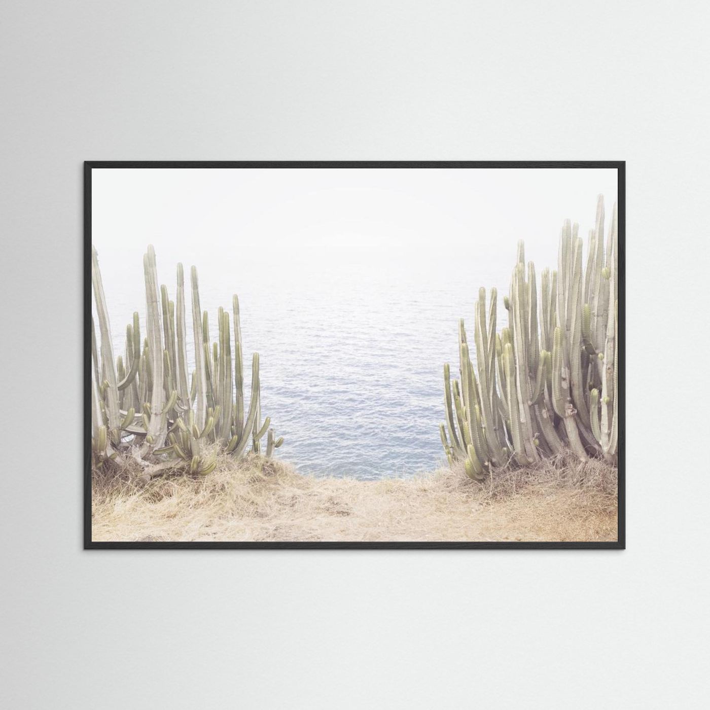 Ocean Cactus