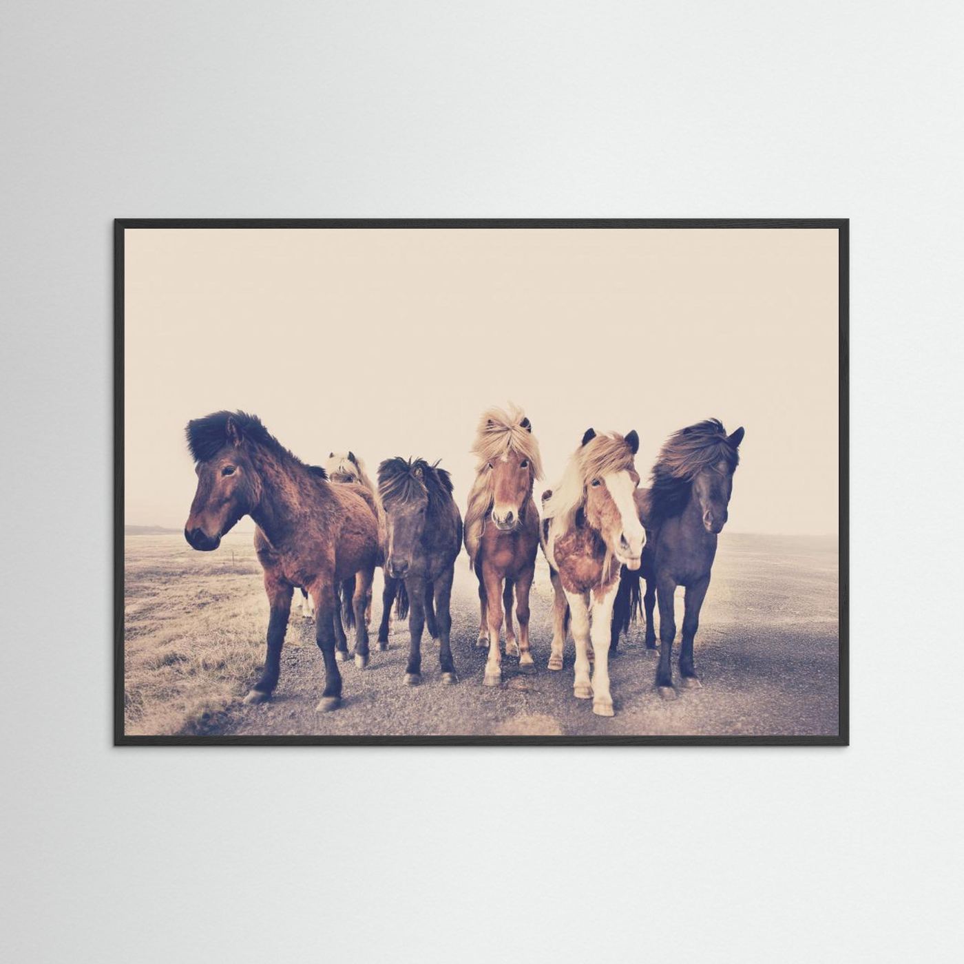 Horses 