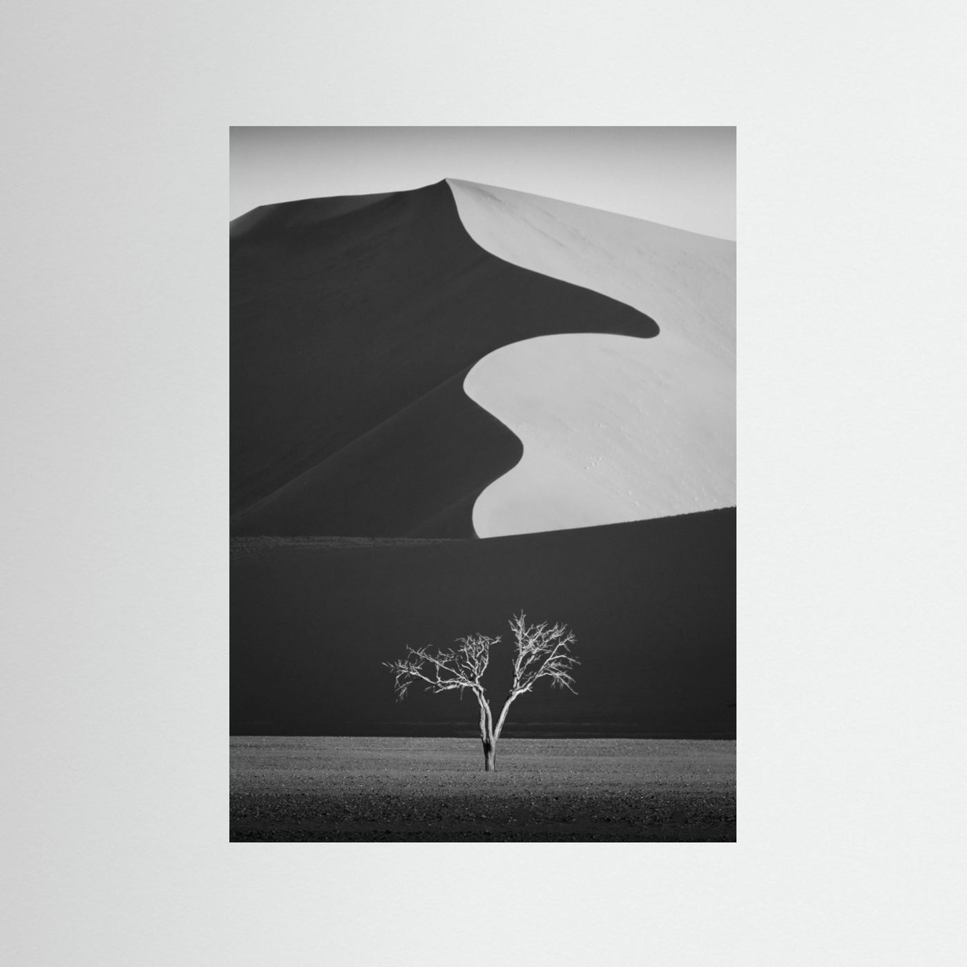 Light & shadow