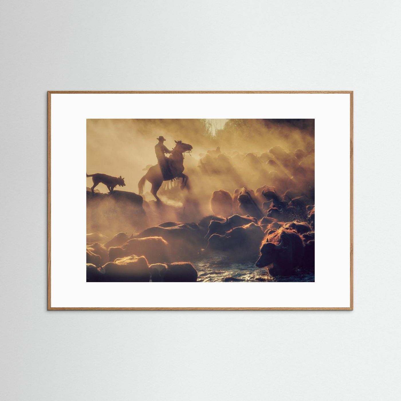 The buffalo shepherd