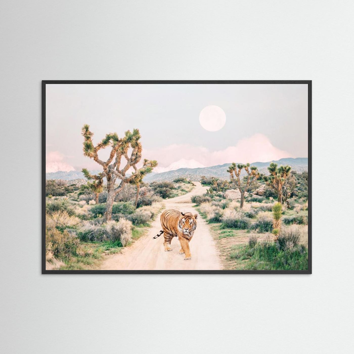 Wandering Tiger